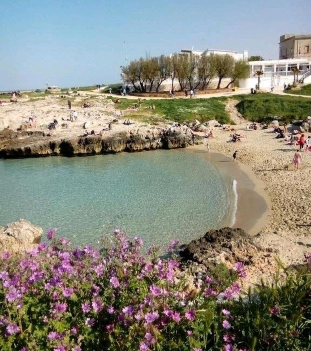 Da Luigi Locazioni Brevi Turistiche Bed and Breakfast Monopoli Eksteriør billede
